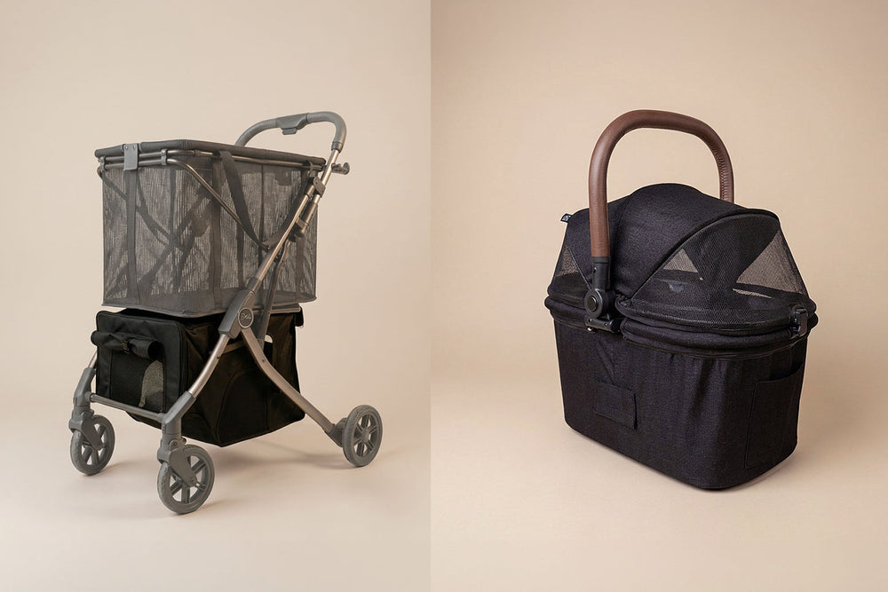 Pet Stroller vs Pet Carrier: Which Fits Best?