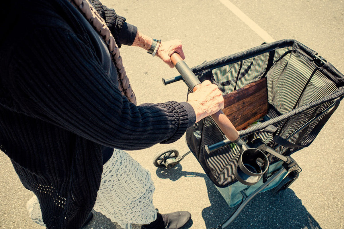 Shopping Cart With Walking Support Guide