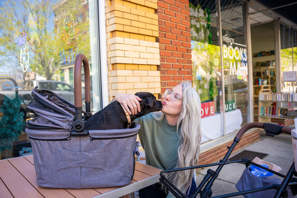 Pet Carrier Attachment Stroller Benefits