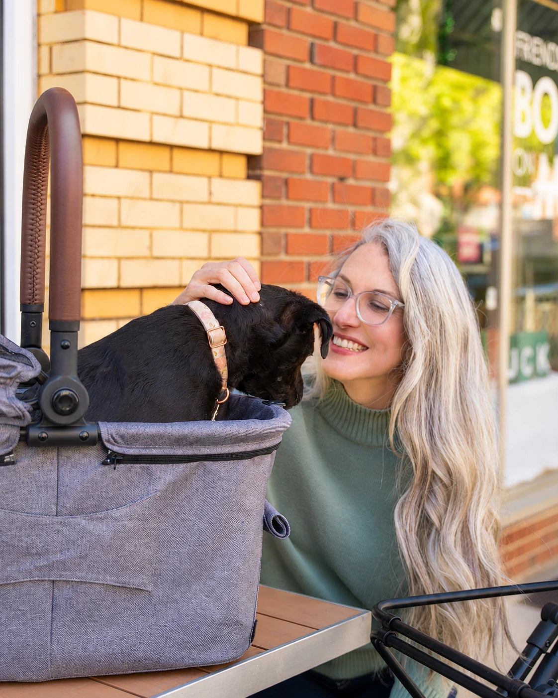Frau lächelt und streichelt einen Hund im grauen Korb eines Stability Pet Stroller.