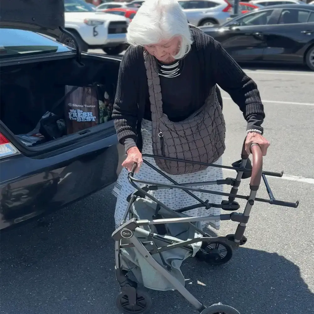 Strolee Foldable Cart