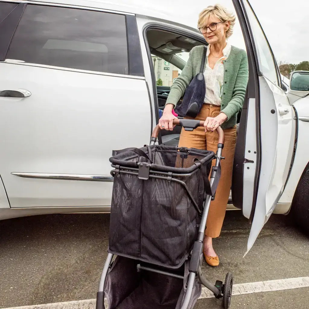 Strolee Stability Shopper